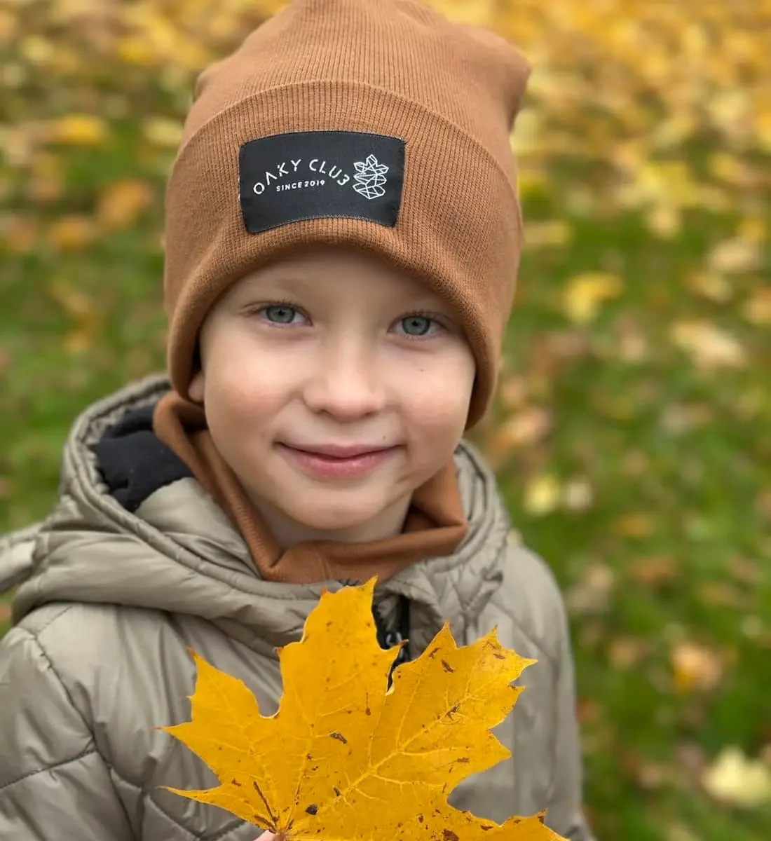 Ąžuolas su OAKY kepure ir geltonais rudens lapais
